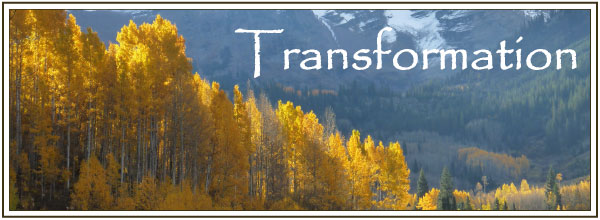 Transforming